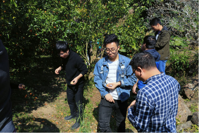 3499拉斯维加斯(官方认证)网站-Made in PRC